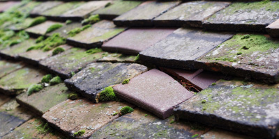 Botcheston roof repair costs